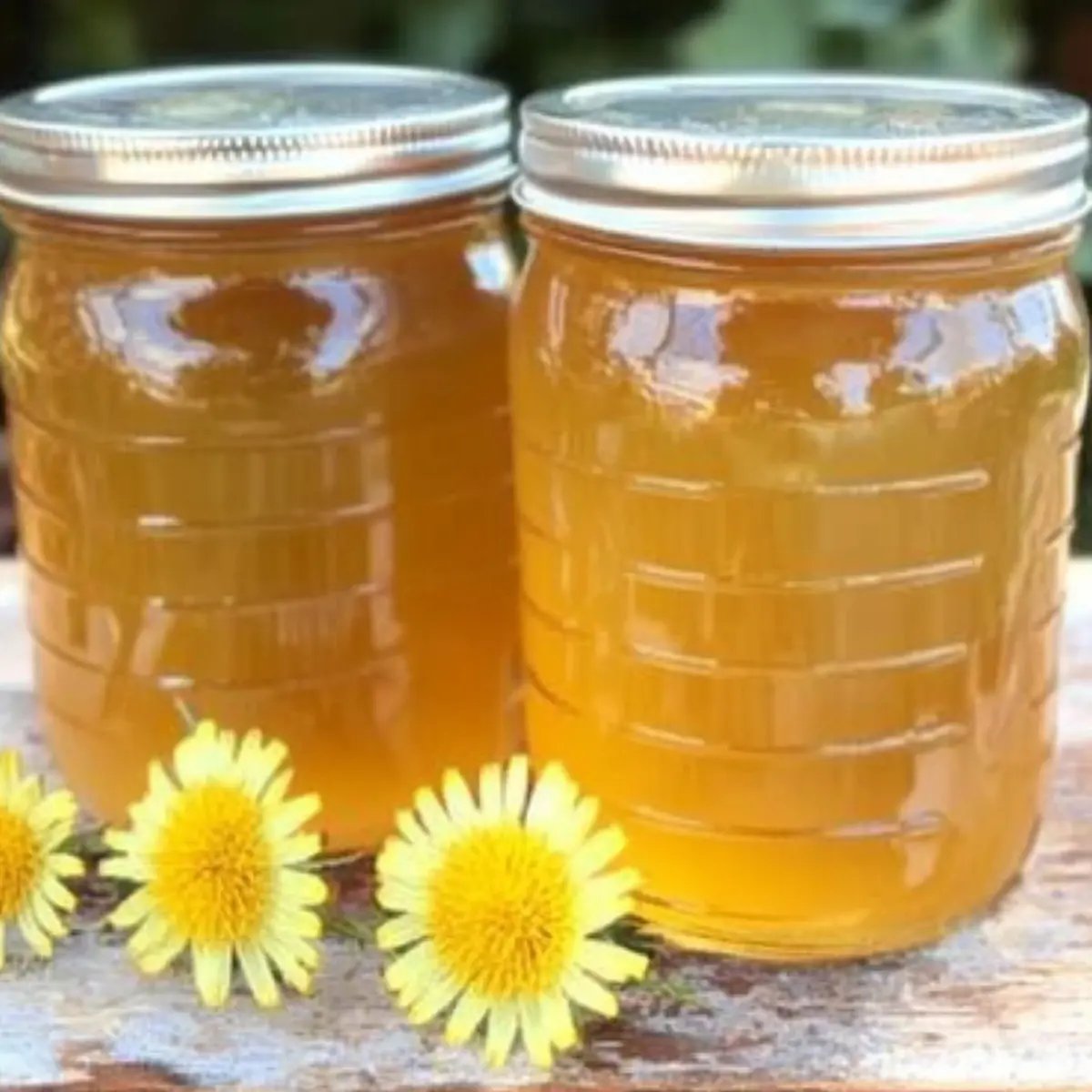 Delicious Dandelion Jelly